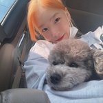 태연 머리색 존좋이야