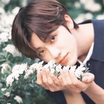 [NCT즌] 진짜 누가 꽃인지