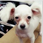 [19] <b>셤</b>기간에 친구가 <b>공부</b>하자 하면 하냐?