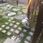 야야 그 시골동네에 배달 안돼서 <b>배민</b> 키면