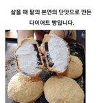 [진격의거인] <b>사샤</b>가 다이어트 한다고 하면