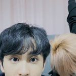 [NCT즌] 고양이 <b>홈캠</b>