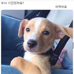 [드루와] 너네 <b>gs25</b> 반값택배 분실해봤냐(좀 길어)