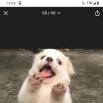 [드루와] <b>졸사</b> 성공 개레전드로 나왔다ㅠㅠ