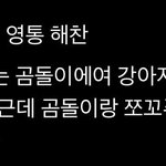 [NCT즌] 진짜 <b>곰도리</b>같이 생겨가지고ㅠ