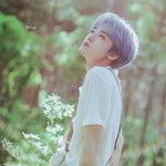 [NCT즌] 노란끼 말고 이런 느낌? 보정