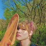 [NCT즌] 솜사탕맛