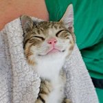 [NCT즌] 러러 고양이 그<b>자체</b> 아니냐