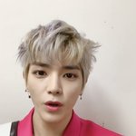 [이태용] 아기<b>늑대</b>같아