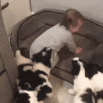 [스키즈] 근데 운영자는 왜 연예인들 악성글같은거 삭제안할까?