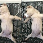 [ㅈㄱㄴ] 생각해보니까 나 학창시절때