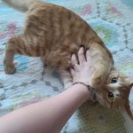 라떼, 아나 짤 또 풉니다 ㅋ