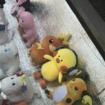 <b>판</b> 하는 여돌 남돌 댓글달아줘라