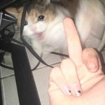 학교 학생회 1차 면접이 <b>pt</b>면접이라는데