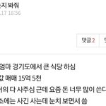 판에 못사는 <b>빈곤층</b>들 조카 많은듯