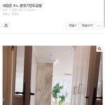 지금 구글 <b>먹통</b>되서 왜 집주작인지 알려줌