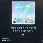 [세븐틴] 스밍있잖아 질문!!