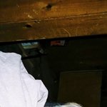 [이태용] 용이 멋진짤 <b>투척</b>