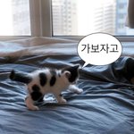 [19] 너네 샤워 얼마나 걸림??