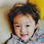 본진 <b>애기때</b> 사진 이거 누구게