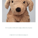 <b>블로그</b> 구경하는데