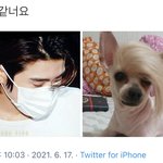 [NCT즌] <b>끼발</b> 자지러짐