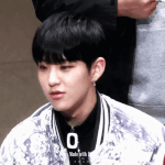 [세븐틴] 진짜 비븐틴 어디안가지