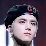 <b>용맹</b>한 몰티즈 상인 남돌?