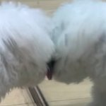 [NCT즌] <b>대낮</b>부터 격정적인