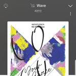 [세븐틴] 아 나 손떨려