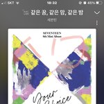 [세븐틴] 우리 <b>프리징</b> 걸림