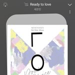 [세븐틴] <b>개인사정</b> 필요없음