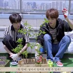 [NCT즌] 이태용이 <b>아들</b>같은데