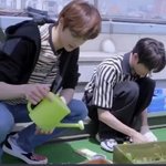 [NCT즌] 얘 진짜 짝아....