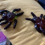 [NCT즌] 개징그럽지않냐