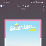 [세븐틴] <b>응원</b>법 이제서야 봤는데