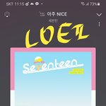 [세븐틴] 얘들아 초치는건 아닌데 지.니는