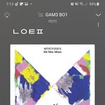 [세븐틴] 솔직히 해<b>외사</b>는 나도