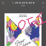 [세븐틴] 스밍 안하는 이유