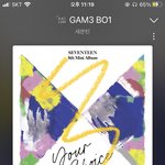 [세븐틴] 스밍안하는 입스 <b>vs</b> 응원법 아예 모르는 콘서트러