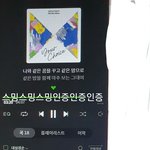 [세븐틴] 말 좀 부드럽게 하자는데