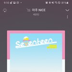 [세븐틴] 스트레스 받아 돌아가겄네 증말
