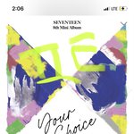 [세븐틴] 스밍 하려면 <b>서양</b>수박이 나은가?