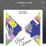 [세븐틴] <b>실차</b>