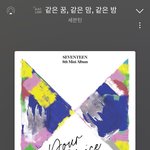 [세븐틴] 근본적인 문제점이 뭐냐면