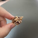 그래놀라 먹다가 <b>겨</b><b>털</b>인지 ㄲㅊ털인지 나옴..