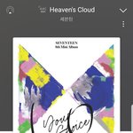 [세븐틴] 와 24힛 순위 오르고있다ㅠㅠㅠ