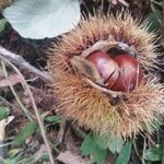 [에이티즈] 오늘 홍중이머리 이거였어