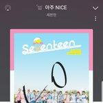 [세븐틴] 아 제발 실감좀 나게 해<b>주자</b>..