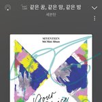 [세븐틴] 장난 똥때리나